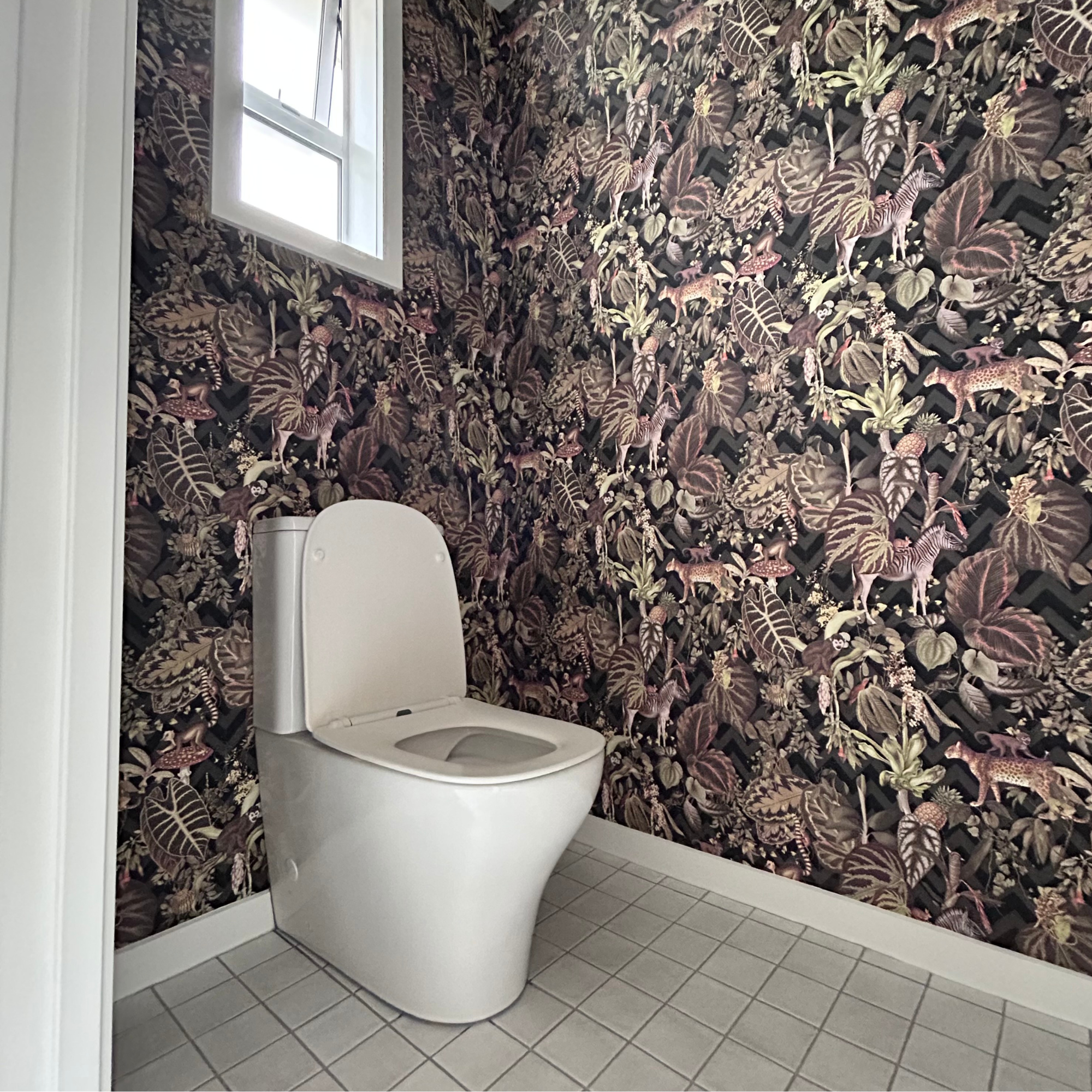 Plumbing Renovations